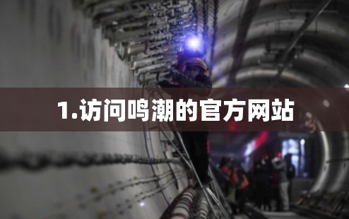 1.访问鸣潮的官方网站