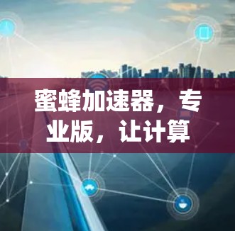 蜜蜂<strong>加速器</strong>，专业版，让计算机系统再上一层楼