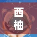西柚加速器免费使用指南 西柚加速器免费使用指南