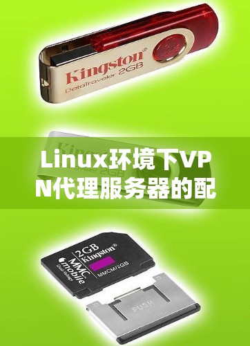 Linux环境下VPN代理服务器的配置与使用