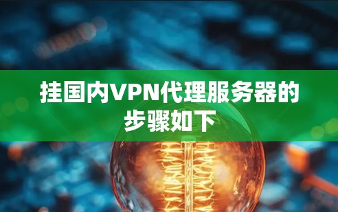 挂国内VPN代理服务器的步骤如下 挂国内VPN代理服务器的步骤如下