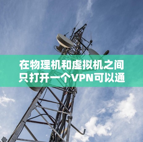 在物理机和虚拟机之间只打开一个VPN可以通过以下步骤实现