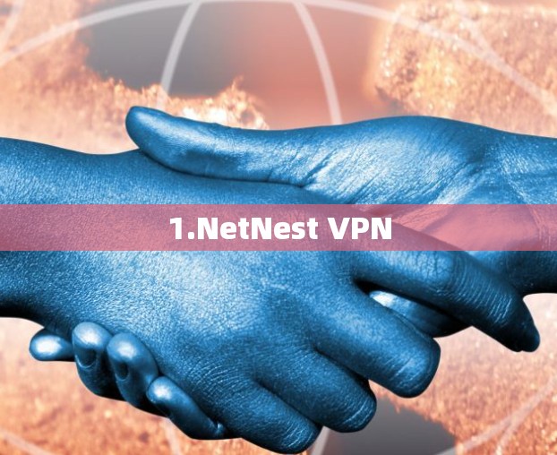 1.NetNest VPN