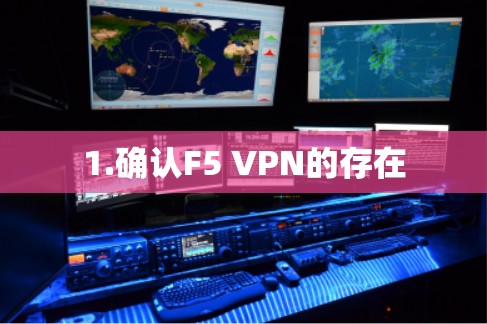 1.确认F5 VPN的存在