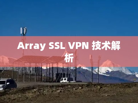 Array SSL VPN 技术解析